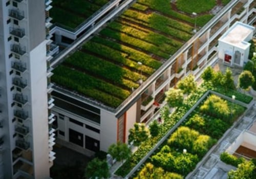 Everything You Need to Know About Green Roofs