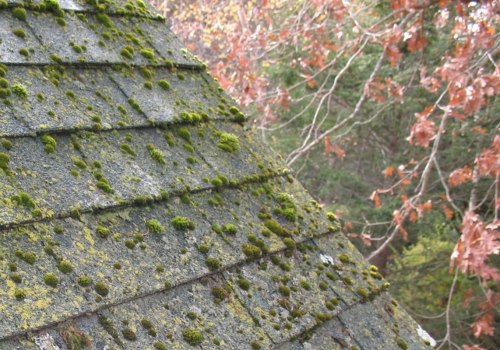 Removing Moss, Algae, and Lichen from the Roof